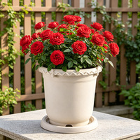 Pots de culture en plastique pour pépinière, fleurs, herbes et légumes, avec trous de drainage, pour usage extérieur et intérieur, blanc