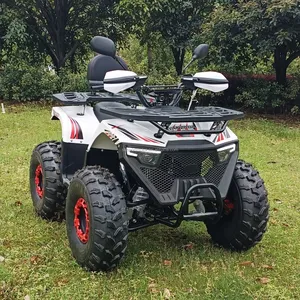 2024 Atv Quad Adult Atv 125cc 150cc Atv Quad Voor Volwassenen 4 Wielen Off-Road Motorfiets Buggy