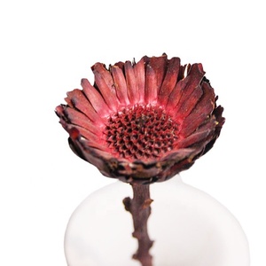 Chrysanthèmes séchés préservés, 10 tiges, pour décoration maison, mariage, Pâques, vente en gros personnalisée, directement de l'usine - Product Image 3