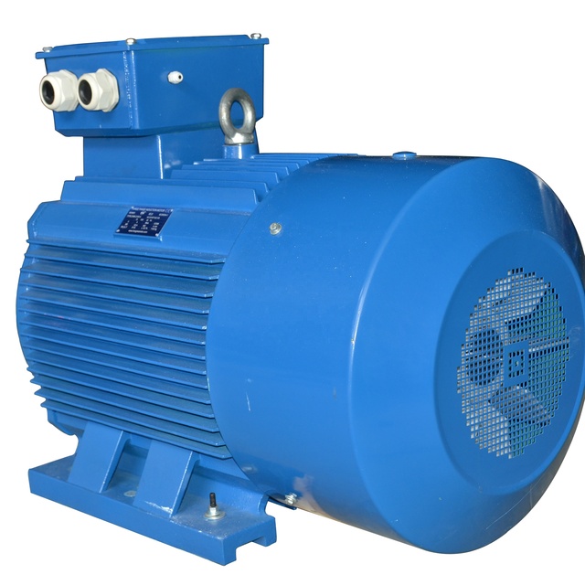 Y/Y2 Series 4 Pole Three Phase Electric Motor 160 kw with Cast Iron Housing Frame Size 315