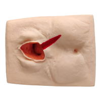 Simulateur de formation à la suture vulvaire en caoutchouc de silicone liquide vulcanisé, modèle de ponction de la moelle osseuse infantile