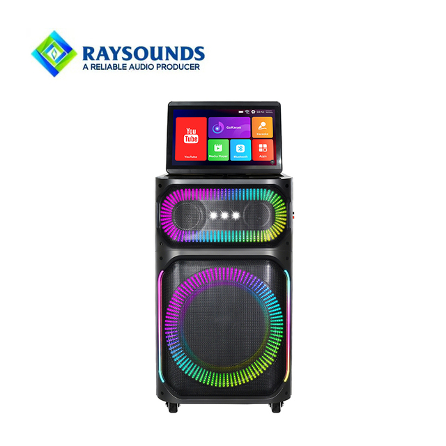 RAYSOUNDS Portable Video Trolley Speaker with Big Screen, Super Bass Wooden Cabinet Karaoke Machine for Outdoor Events & Parties