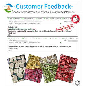 Máquina Liofilizadora de Tamaño Pequeño, Mediano y Grande para Laboratorio y Hogar - Product Image 3