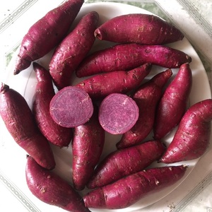 Rodajas de Caña de Batata Amarilla, Morada y Roja, Vegetales Congelados LQF, Personalizables para Freír o Cocinar al Vapor, Grado Superior de Vietnam - Product Image 5