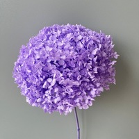Haute qualité préservée vraies plantes hortensia sec fleurs séchées blanc pour toujours Anna fleur hortensia graines fleurs de mariage