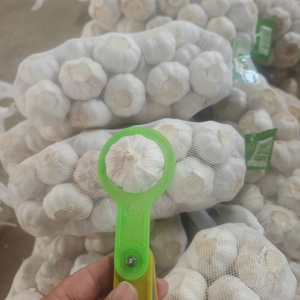 <span class=keywords><strong>Ajo</strong></span> Blanco Fresco Cosecha 2026, 4.5cm, Alta Calidad, Suministro a Granel, Directo <span class=keywords><strong>de</strong></span> Granja, Envío a Congo Brazzaville - Product Image 2