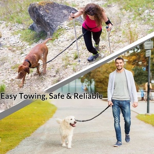 Laisse de course mains libres pour chien, multicolore, avec ceinture de taille réglable et amortisseur élastique, vente en gros, logo personnalisé OEM - Product Image 2