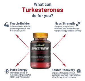 Cápsulas de Turkesterona Wins Town, Ayudan a Desarrollar Músculo, Aumentan la Energía, Suplemento de Turkesterona de 500 mg - Product Image 2