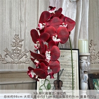 Bunga Anggrek Bonsai Putih 37 Inci, Hiasan Tengah Meja Anggrek Phalaenopsis Sentuhan Asli untuk Dekorasi Rumah