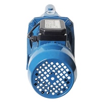 Pompa Air Jet Self-Priming 1 HP 60L/Menit 110V/220V Tekanan Tinggi Outlet 1 Inci