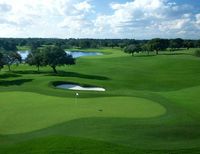 Golf-Rasen Putting Green Kunstrasen Putting Green Kunstrasenmatte