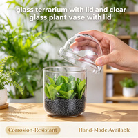 Accessoires de décoration intérieure, articles écologiques, faits à la main, en verre borosilicate transparent, terrarium pour plantes, vase à mousse, aquarium avec couvercles