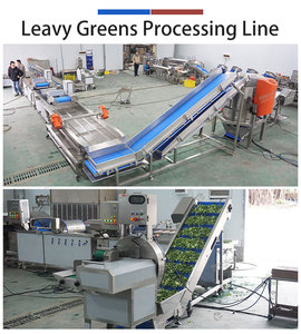 1-3t/h Leafy Greens Salad Vegetable Cutting Washing and Drying Machine - Product Image 3