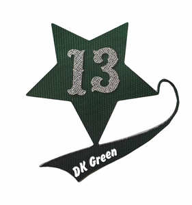 قماش تاكل تويل لاصق للبيع المباشر من المصنع، مناسب للملابس الرياضية، لطباعة الشعارات والأرقام، قماش لوحة الاسم للقمصان الرياضية - Product Image 2