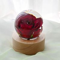 Barang Hadiah Natal Tahun Baru 2024 Terbaru yang Trendi dan Modern, Harolux USB-NL-XX Bunga Asli Awet Buatan Tangan Mewah dalam Globe Kaca LED