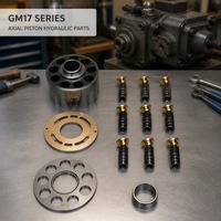 GM17 Hydraulic Repair Kit Cylinder Block Valve Plate Retainer Plate Piston Set Bearing Ring GM17