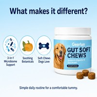 Friandises à mâcher personnalisées ODM pour la santé intestinale des chiens, à base de fibres de citrouille et de postbiotiques, supplément pour la flore digestive et le contrôle des odeurs