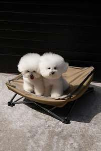 600D Oxford Cloth Material Haustier freundliches, wasserfestes, faltbares Bett - Product Image 2