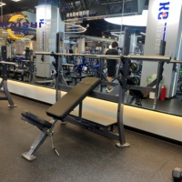 Banc de musculation inclinable réglable Kaishi Commercial pour haltères, idéal pour l'entraînement de force et le fitness