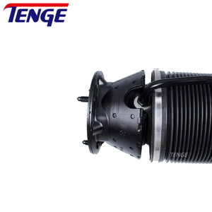 Ammortizzatore Idraulico Posteriore ABC per <span class=keywords><strong>Mercedes</strong></span> Benz W220 W215, Codice A2203209113 - Product Image 3