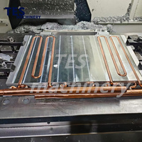 Plaque froide liquide en aluminium et cuivre sur mesure avec dissipateur thermique à eau pour module thermoélectrique Peltier
