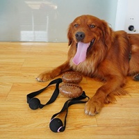 Jouet interactif pour chien, jouet à mâcher en caoutchouc en forme de grain de café avec poignée de traction en corde élastique pour l'entraînement
