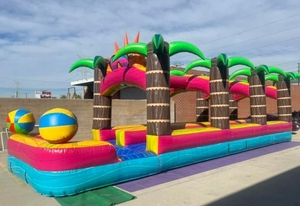 Cấp thương mại cây cọ nhiệt đới tùy chỉnh hai làn bơm hơi trượt N trượt nước bơm hơi trượt N trượt - Product Image 4