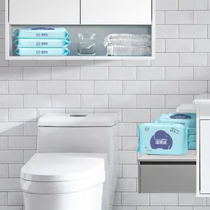 OEM ODM性爱玩具清洁剂湿巾女性化湿巾自有品牌可冲洗卫生纸