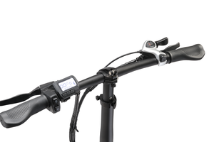 Xe Đạp Điện <span class=keywords><strong>Shimano</strong></span> <span class=keywords><strong>Steps</strong></span> E8000, Xe Đạp Điện Với Công Suất Tùy Chỉnh 36V 350W 500W - Product Image 3