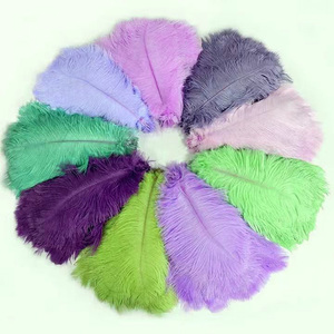 Nhiều Màu Sắc Lông 15-20Cm Đà Điểu Lông Cho Đám Cưới Tường Đảng Khiêu Vũ Đồ Trang Trí Lễ Hội - Product Image 2