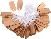 Étiquettes de prix en papier kraft avec ficelle attachée, étiquettes de prix inscriptibles, 100 pièces