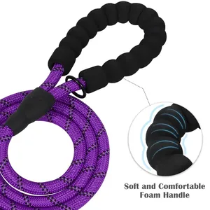 Custom LOGO Reflective Slip Lead Dog Leash For Puppy Small Dogs Training And Walking