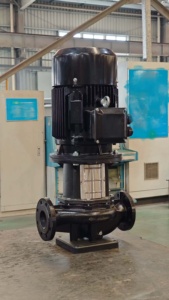 LKS Vertical Inline <b>Water</b> <b>Pump</b> and Booster <b>Pump</b> for Industry <b>Water</b> Supply - Product Image 5