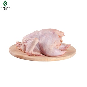 Canard congelé de qualité supérieure pour l'exportation, emballé avec une hygiène maximale - Product Image 2