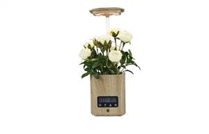 Humidificador USB Creativo Moderno de Alta Calidad, Lámpara de Escritorio Inteligente con Maceta, Función de Altavoz Musical, Decoración para el Hogar - Product Image 5