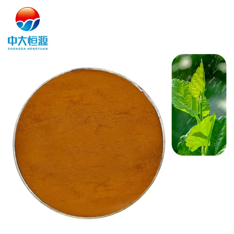 China factory mulberry leaf extract herbal natural mulberry leaf extract powder