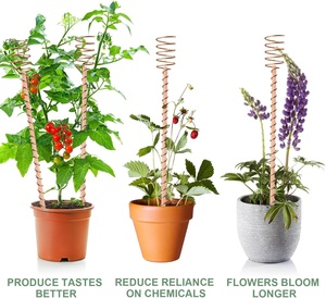 Electro Culture Gardening Copper Wire, <strong>Wooden</strong> Electroculture Plant <strong>Stakes</strong> for Outdoor Plants Garden <strong>Stakes</strong> - Product Image 3