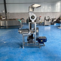 Volledig automatische sinaasappelsap productie-apparatuur; grootschalige industriële commerciële kokosvleespersen