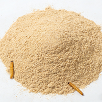 Poudre de vers de farine dégraissés en vrac, protéine d'insectes pour l'alimentation des poulets, nourriture pour poissons d'aquarium, nourriture pour oiseaux, friandises pour animaux de compagnie, compléments alimentaires