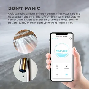 IMRITA Smart Wifi APP contrôle fuite d'eau détection d'inondation capteur de débit détecteur de fuite d'eau fuga de agua avec vanne d'arrêt