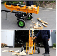 Fendeuse de bûches de processeur de bois cinétique à vitesse rapide de 80 tonnes pour station forestière Fendeuse de bûches hydraulique