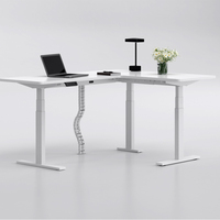 Bureau debout ergonomique OMNI au design moderne, réglable en hauteur, avec moteur silencieux, pour bureaux à domicile, en métal