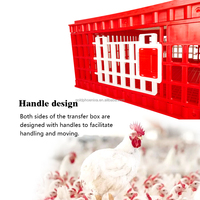 Cages de transport pour volailles vivantes 75*55*29cm, caisse en plastique pouvant contenir 10 à 12 poulets adultes avec portes coulissantes pour le transfert des animaux