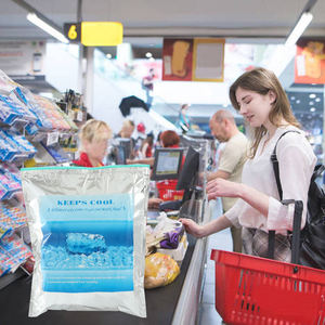 Sacs isothermes médicaux isolés de qualité supérieure sac isotherme de voyage portable écologique avec logo personnalisé pour le stockage des aliments à insuline diabétique - Product Image 1