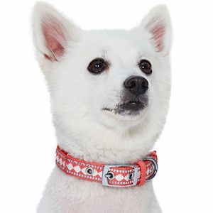 Collar Personalizado para Perro, Correa para Mascotas, Suave y Cómodo, Estilo a Cuadros Rojos, Diseño Acolchado, Collar Ajustable para Perro - Product Image 5