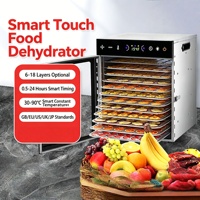 800W Dubbellaagse Voedseldehydrator Onafhankelijke Temperatuurregeling Mesh Thuis Commercieel Citroen Kiwi Appel Kruiden Beef Jerky Droogmachine