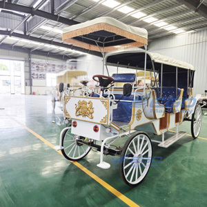 Carruaje Turístico Vintage de Cuatro Ruedas con Techo de Lona, Impreso con Turquesa Blanca, Impulsado por Caballos, Sin Motor, para Recorridos Panorámicos - Product Image 6