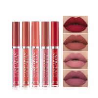 HANDAIYAN brillant à lèvres antiadhésif mat rouge à lèvres liquide mat sans décoloration tube mince brillant à lèvres longue durée en gros