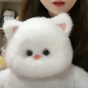 Đồ chơi nhồi bông mèo dễ thương phổ biến, chất liệu bông PP, khuyến mãi số lượng lớn, bền, kiểu dáng Kawaii cổ điển, kích thước 40/50/60cm - Product Image 3