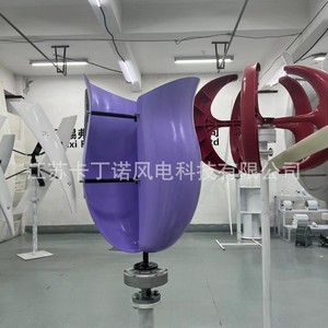 กังหันลมโรส 600W 1KW 2KW สำหรับใช้ในบ้าน กังหันลมขนาดเล็ก - Product Image 4